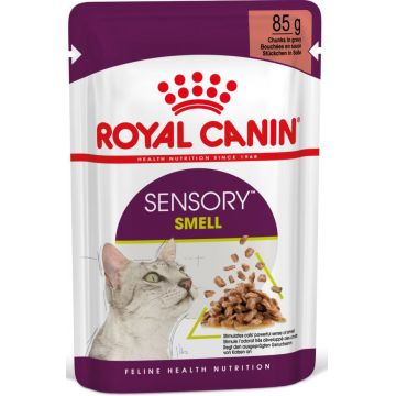 ROYAL CANIN FHN Sensory Smell în Sos Plic pentru pisici 85g
