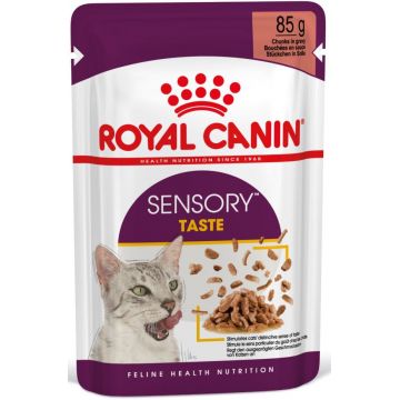 ROYAL CANIN FHN Sensory Taste în Sos Plic pentru pisici 85g