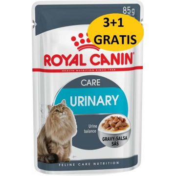 ROYAL CANIN FHN Urinary Care Plic pentru pisici adulte
