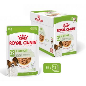 ROYAL CANIN SHN X-Small Adult Plic hrană umedă pentru câini, 85g
