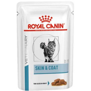 ROYAL CANIN VCN Skin&Coat Plic hrană umedă pentru pisici 85g
