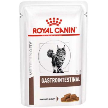 ROYAL CANIN VHN Gastrointestinal Plic hrană umedă pisici 85g