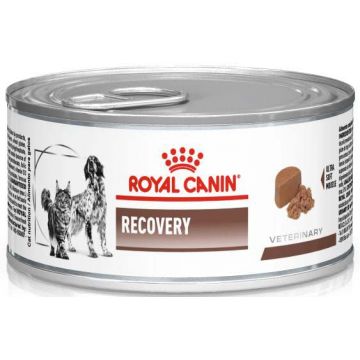 ROYAL CANIN VHN Recovery Conservă pentru câini şi pisici 195g