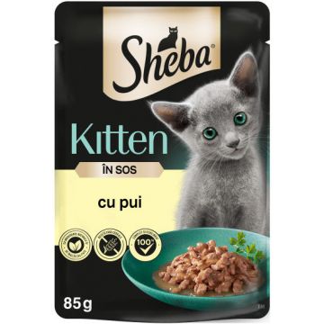 SHEBA KITTEN Plic hrană umedă pentru pisicuţe, cu Pui în sos 85g
