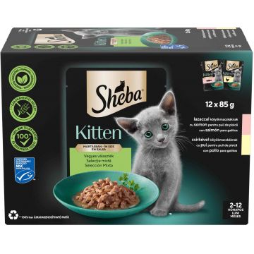 SHEBA KITTEN Plic hrană umedă pentru pisicuţe, cu Somon şi Pui în sos 12x85g