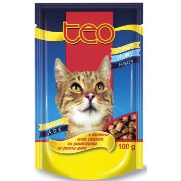 TEO Plic hrana umeda pentru pisici, cu Pui 85g