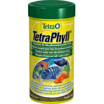 TETRA Phyll Hrană sub formă de fulgi pentru peşti ornamentali ierbivori 100ml