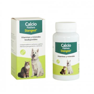 DICALFON, STANGEST, Pachet 2 X 100 tablete