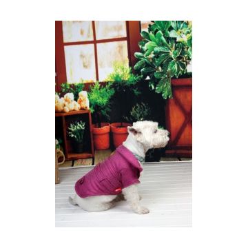 Geaca Dandy - Mov - XS