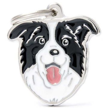MY FAMILY Friends Medalion pentru gravare Border Collie 3x3,2cm