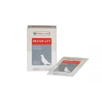 Recup Lyt, 12 x 20 g