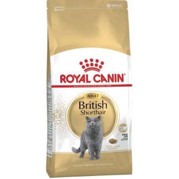 ROYAL CANIN FBN British Shorthair