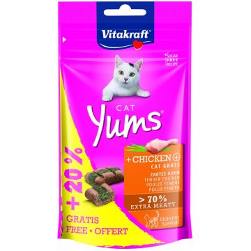 VITAKRAFT Delicatese pentru pisici Cat Yums cu Pui şi Iarba pisicii 40g+20%