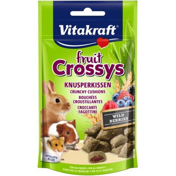 VITAKRAFT Snack Fruit Crossys pentru porcuşori de Guineea 50g