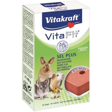 VITAKRAFT Vita Fit Bloc de sare pentru rozătoare 40g