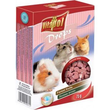 VITAPOL Delicatese pentru rozătoare Dropsuri cu Fructe de Pădure 75g