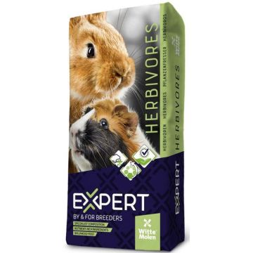 WITTE MOLEN Expert Hrană pentru şinşila şi degu 15kg