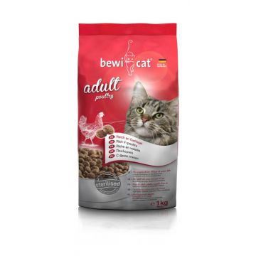 Bewi Cat Adut Poultry - 5-kg