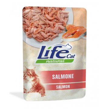 Hrana Umeda Pisici, Life Cat, Somon, 70 g