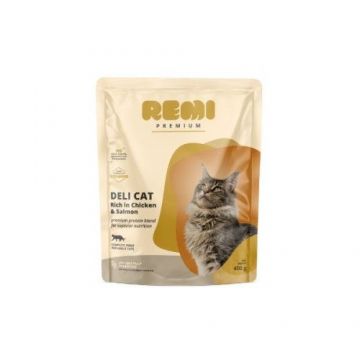 Hrana Uscata Pisici, Remi Premium Adult Deli Cat cu Pui, 400 g