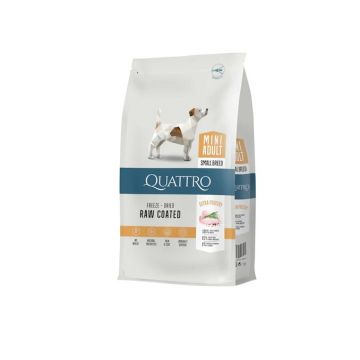 Quattro Dog Adult Mini 1,5 Kg