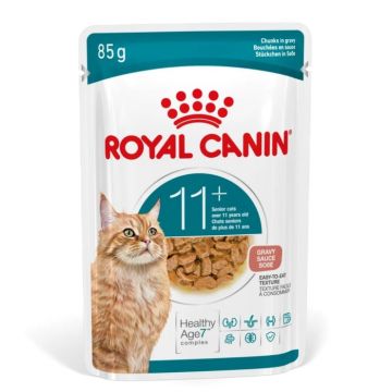 Royal Canin Feline Ageing +11, 1 X 85 g