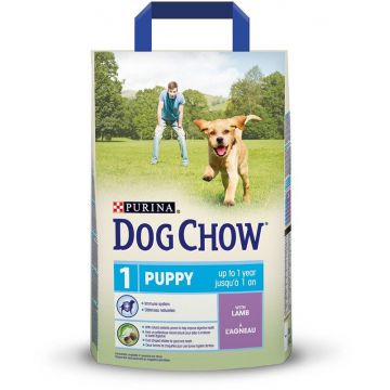 Dog Chow Puppy Miel 14 kg