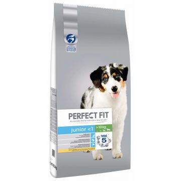 PERFECT FIT DOG JUNIOR PUI