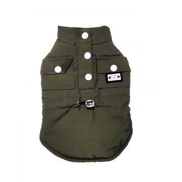 Pet Expert Haina Caine Green BO-W19040 - 40-cm