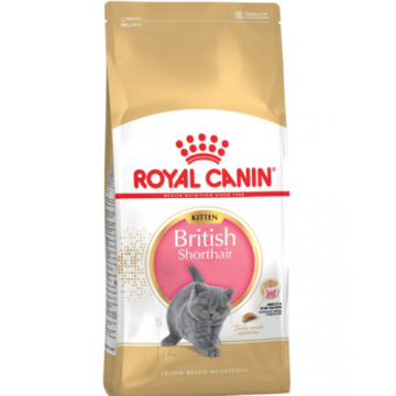 Royal Canin Felin British Shorthair Kitten - 2-kg