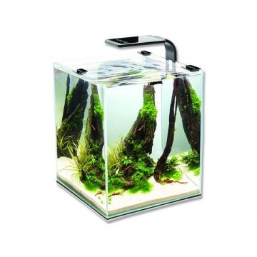 AQUAEL ACVARIU SHRIMP SMART PLUS 10 L NEGRU 113224