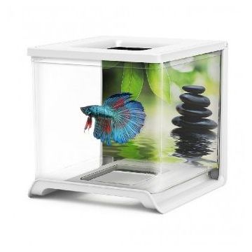 Hailea Acvariu Betta 1.8 L Negru