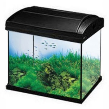 Hailea Acvariu F30 Negru