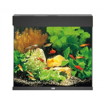 Juwel Acvariu Led Lido 120 Negru