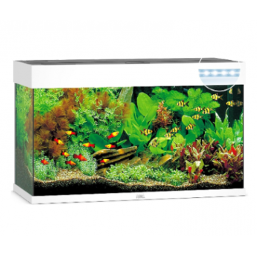 Juwel Acvariu Led Rio 180 Alb