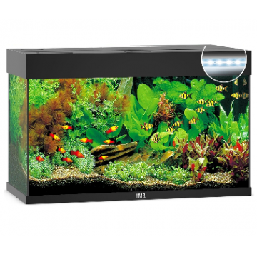 Juwel Acvariu Led Rio 180 Negru