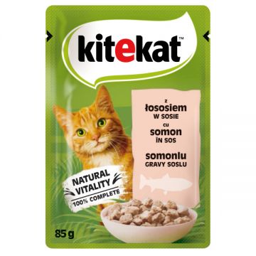 Kitekat Plic Adult Somon 85 g