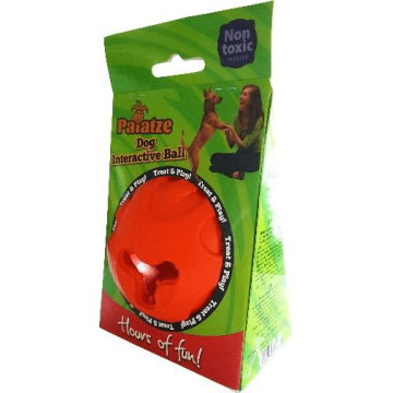 Paiatze Dog Jucarie Interactiva R5115