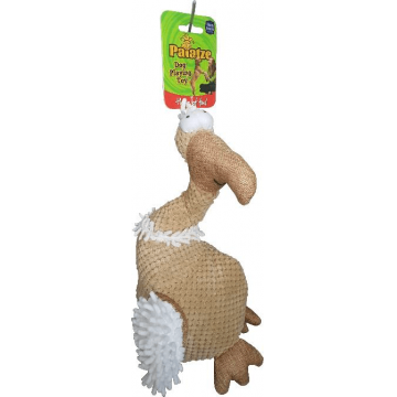 Paiatze Dog Vultur P8013