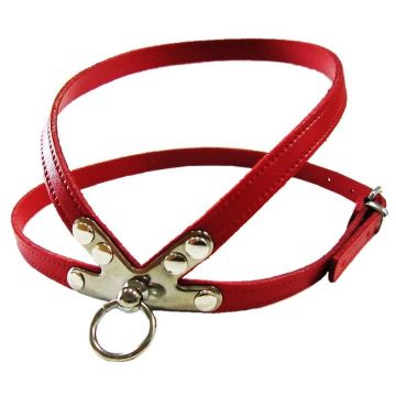 Pet Expert Ham Clasic Rosu Nr 4