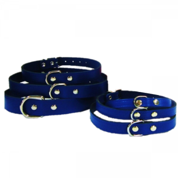 Pet Expert Zgarda Clasic  Albastru - nr-1