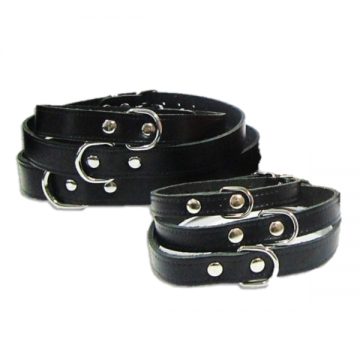 Pet Expert Zgarda Clasic Negru - nr-3