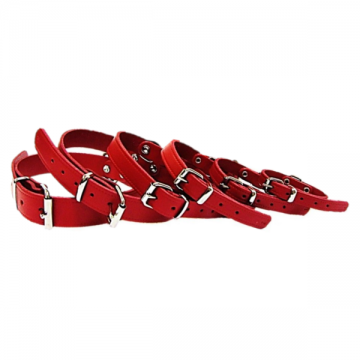 Pet Expert Zgarda Clasic Rosu - nr-9