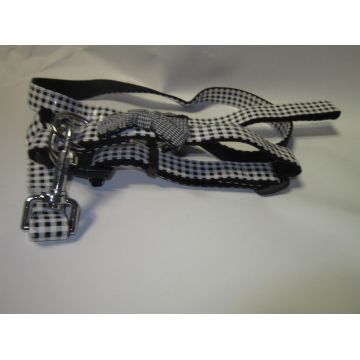 Pet Expert Zgarda/Lesa 1.5X120 cm Negru A0262