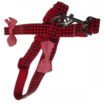 Pet Expert Zgarda/Lesa 2.5X120 cm Rosu A0262