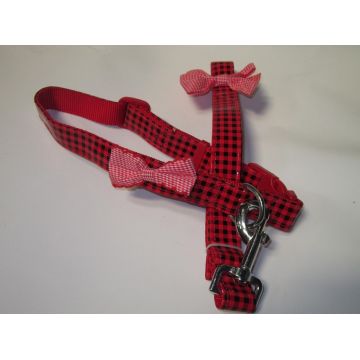 Pet Expert Zgarda/Lesa 2X120 cm Rosu A0262