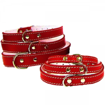 Pet Expert Zgarda Pasla cm Rosu - nr-0