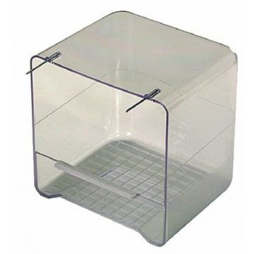 2 GR Cadita Regio 49