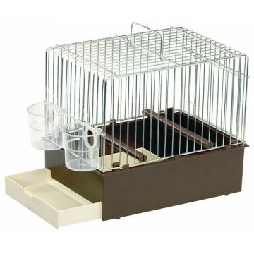 2 GR Colivie Cantatori