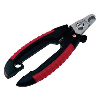 Cleste Ghiare GRO 5987